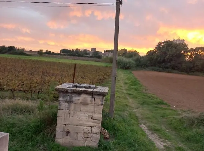 Le Marbre De Vendargues